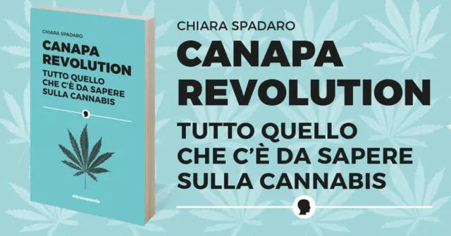 Canapa Revolution 🌳 Tutto Quello Che C'e' Da Sapere Sulla Cannabis 🌿 Spadaro