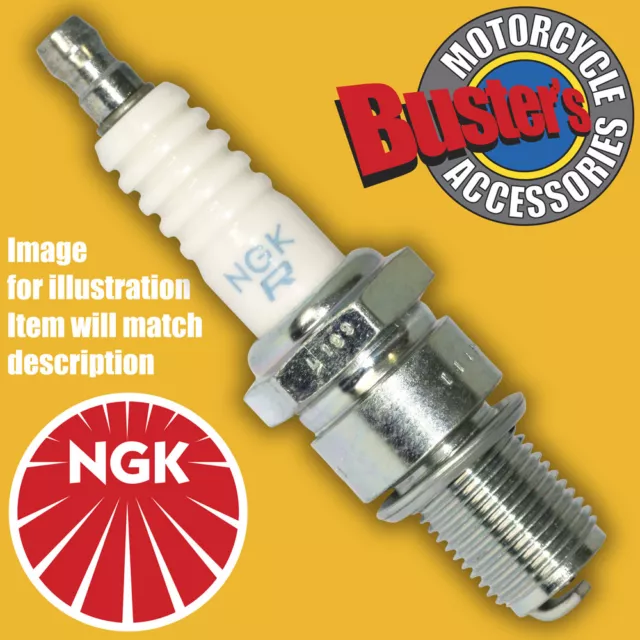 Genuine NGK Spark Plug Kawasaki ZX600 E6F ZZR600 2006 On