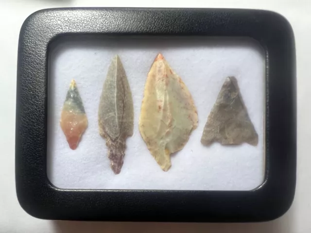 Stone Age Ancient Neolithic Stone Arrowheads In Display Case!