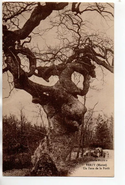 VERZY - Marne - CPA 51 - Tree - Curiosity - a fake in the forest 5