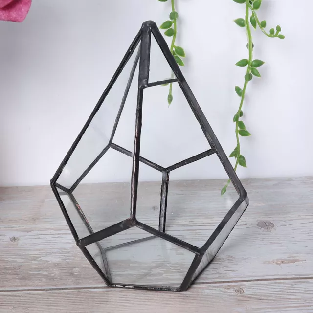 Displaying Distinctive Flowerpot Glass Planter Geometric Shape For Home Graden