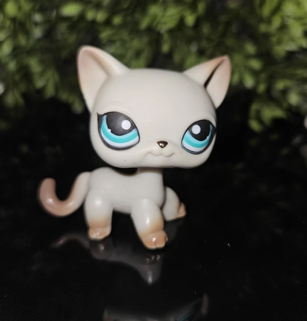 Figurine Petshop Chat Européen N°1643 – Occasion Pour Collection