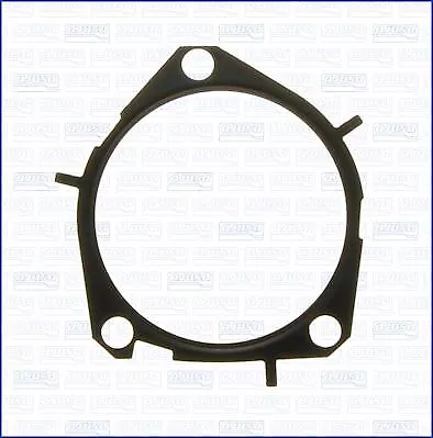 Ajusa 01097500 Dichtung Wasserpumpe für Fiat Opel Suzuki Alfa Saab 96->