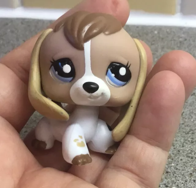 Littlest Pet Shop Beagle Dog #2207 de la colección de mascotas de vacaciones en muy buena condición raro difícil de encontrar