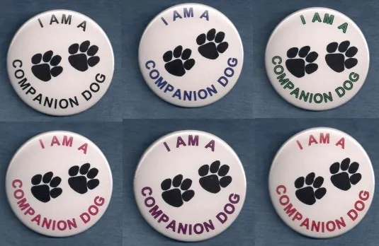 I AM A COMPANION DOG - 6 colors - service dog vest button w/pin back