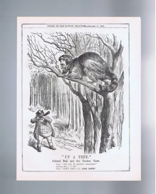 1862 Original US Civil War Cartoon British View Abraham Lincoln Racoon Up A Tree