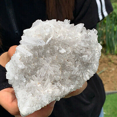581G  A+++Large Natural white Crystal Himalayan quartz cluster /mineralsls 761