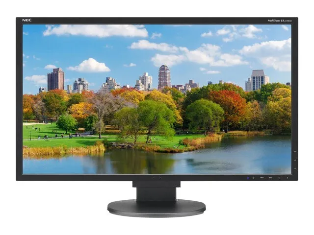 NEC Multisync EA223WM 22" inch Monitor DisplayPort VGA With Stand Grade C