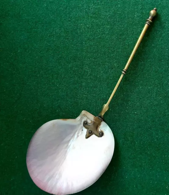 Late rare Victorian mother of pearl shell spoon with brass handle