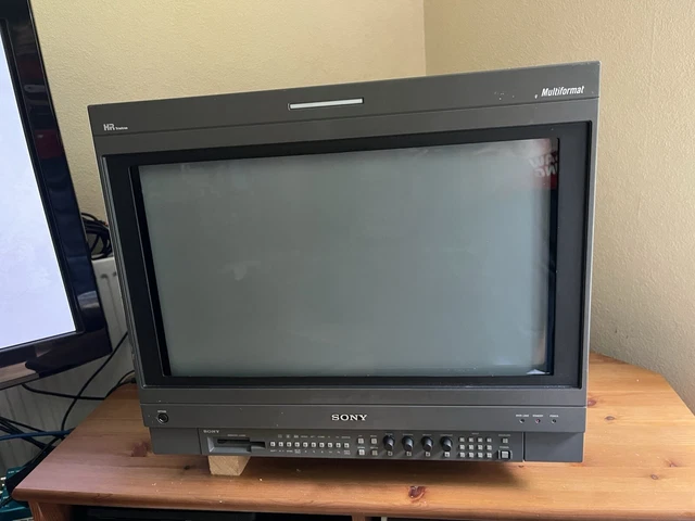 Sony BVM-14M4DE / BVM-D14H5E Monitor CRT Broadcast 14 Pollici Per Retro Gaming - Testato