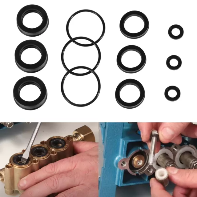 76975 Seal Kit For Cat Pump 4dnx Pumps 4dnx25gsi 4dnx27gsi Seal Kit For 4dnx
