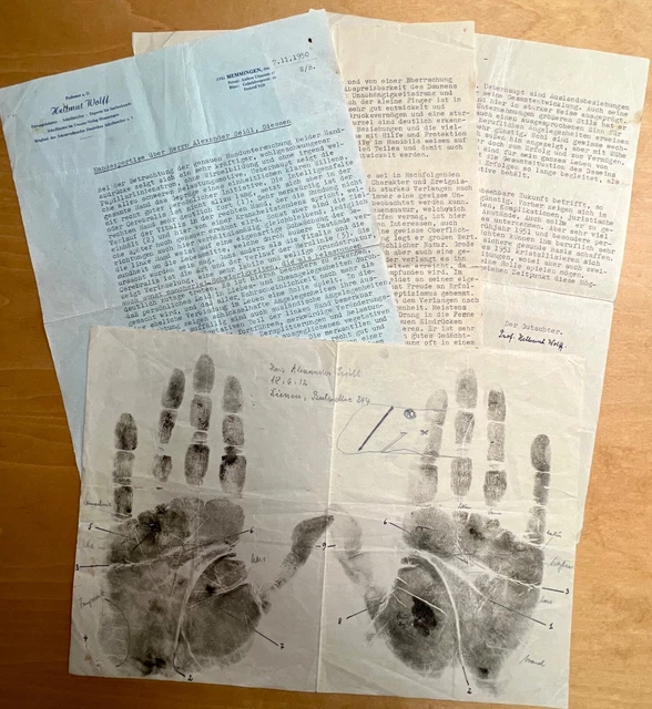 Gutachten Handexpertise A. Seidel Professor Hellmut Wolff 1950 Handchirurgie