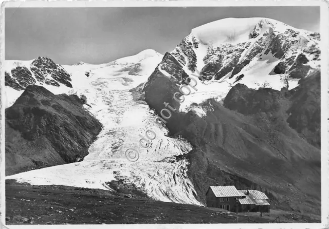 Cartolina - Postcard - Rifugio Pizzini - Vedrela Codec - M. Cevedale - 1951