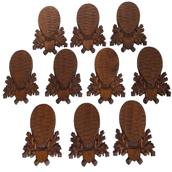 10 Pieza Tallado Escudo de Trofeo para Ciervo Corzo Cornamentas Braun Gh 29,5 CM