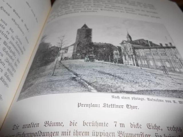 Die Provinz Brandenburg in Wort und Bild.  1900