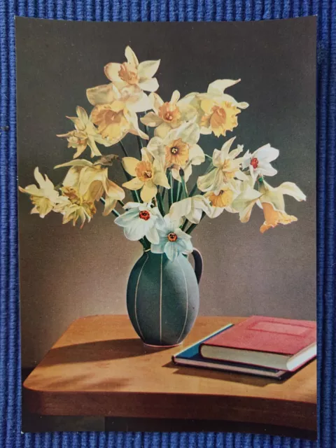 Antiguo Tarjeta Postal Postales Ak Ramo Florero de Cerámica 50er Narcisos