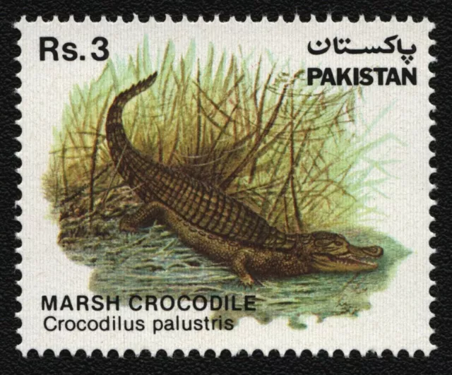 Pakistan 1983 - Mi-Nr. 587 ** - MNH - Krokodile / Crocodiles