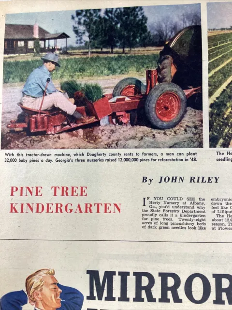 Atlanta GA Print Ad 1949 AJC Albany Herty Nursery Pine Trees Murphy Tropical