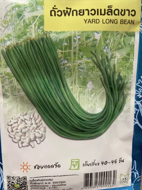 Yard long Bean (ถั่วฝักยาวเมล็ดขาว) 45 Seeds