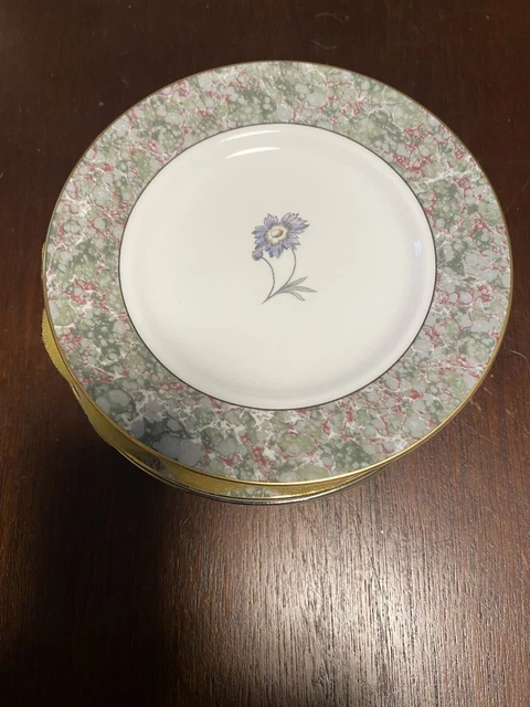 Wedgwood Humming Birds・ Curzon 他皿合計 7枚