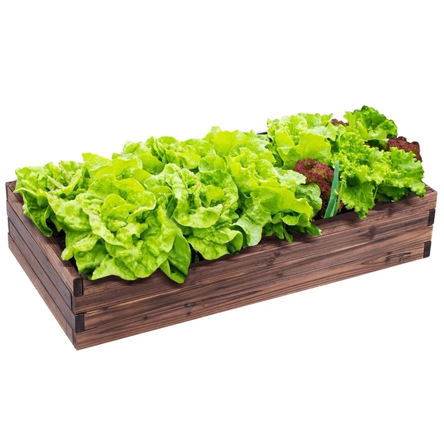 WOODEN RAISED GARDEN Bed Kit Elevated Planter Box For Growing Herbs
