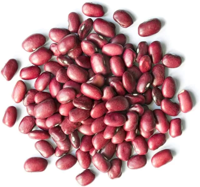 Organic Adzuki Beans – Non-GMO, Sproutable, Kosher, Raw, Vegan – by Food to Live