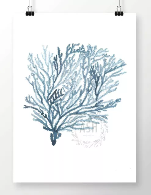 SEA FAN I Watercolour Coastal Art Print Hamptons Nautical Beach Coral Painting