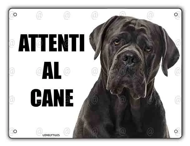 Targa ATTENTI Al Cane Per Grandi Bovari Svizzero - Metallica 20x15 Cm - Foto 5