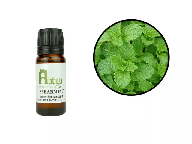 Essential Oil Spearmint 100% Pure Natural Aromatherapy Oil