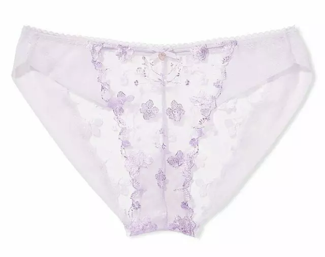 Victorias Secret Body By Victoria Sheer Floral Embroidered Bikini Panty Xs S M L