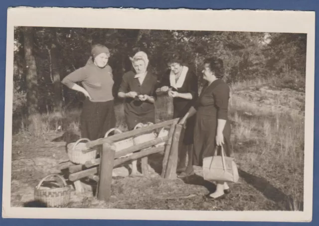 Beautiful young women in the park Soviet Vintage Photo USSR