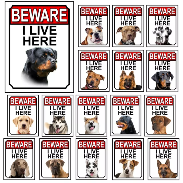 Dog Breed Gate Signs Beware I Live Here Metal Tin Signs Garden Yard Fence