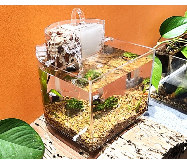 5L Tropical Marine Betta Fish Aquarium Tank Kit Filter 2