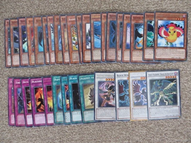 yugioh black winged dragon deck Amazon.com: Complete Custom Deck for Yu-Gi-Oh! 5D's main image 1