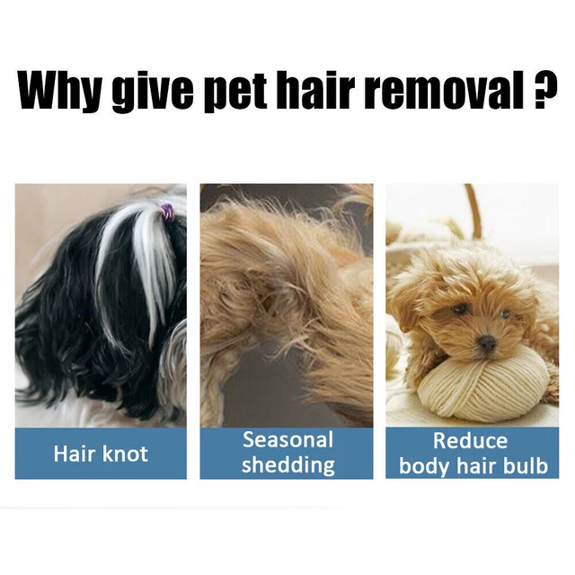 Pet Brush Hair Remover Dog Cat Comb Self Cleaning Slicker Grooming Message Tool 9