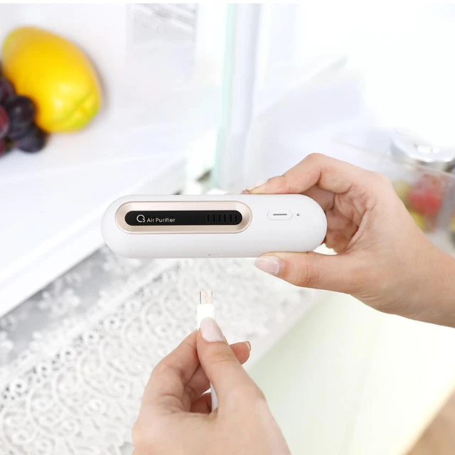 Ozonateur  de conservation des aliments de charge USB pour dissolvant  portable