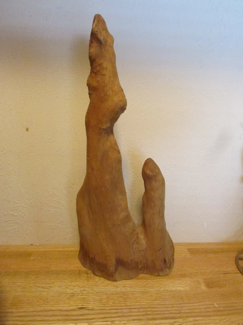 Rodilla de ciprés grande - 19" de alto