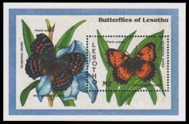 Lesotho 1993 - Mi-Nr. Block 103 ** - MNH - Schmetterlinge / Butterfly