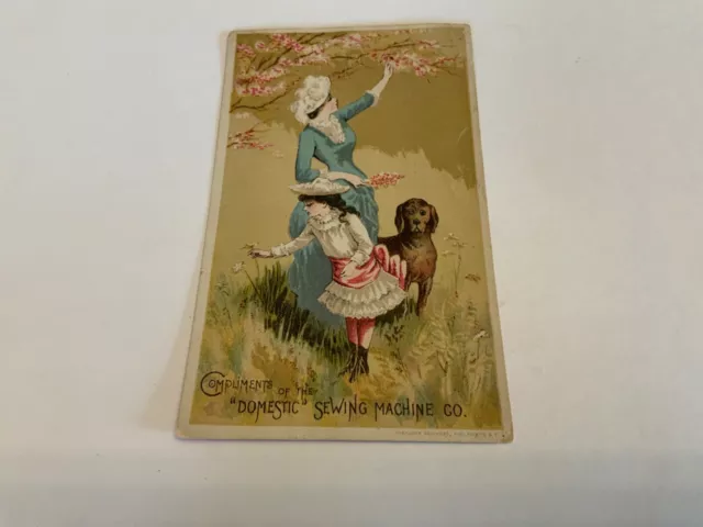 “DOMESTIC” SEWING MACHINE CO., N.Y. ~ Victorian Antique Trade Card Lady/Girl/Dog