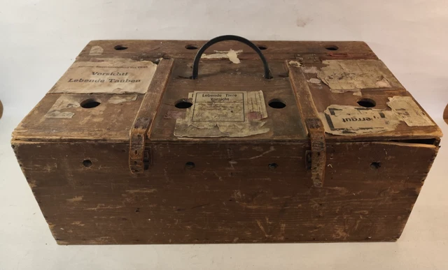 Ancienne Cage à Oiseaux En Bois – Transport D'appelant – Chasse – 37 Cm – France