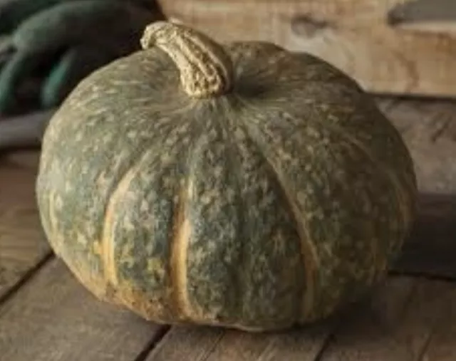 2 VARIETÁ Di ZUCCA 30 SEMI: ZUCCA DELICA E MANTOVANA | Pumpkin Seeds