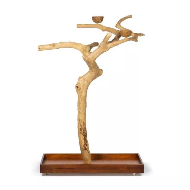 Java Wood II Tree - Large - Natural Hardwood Parrot Playstand, African Grey, Etc