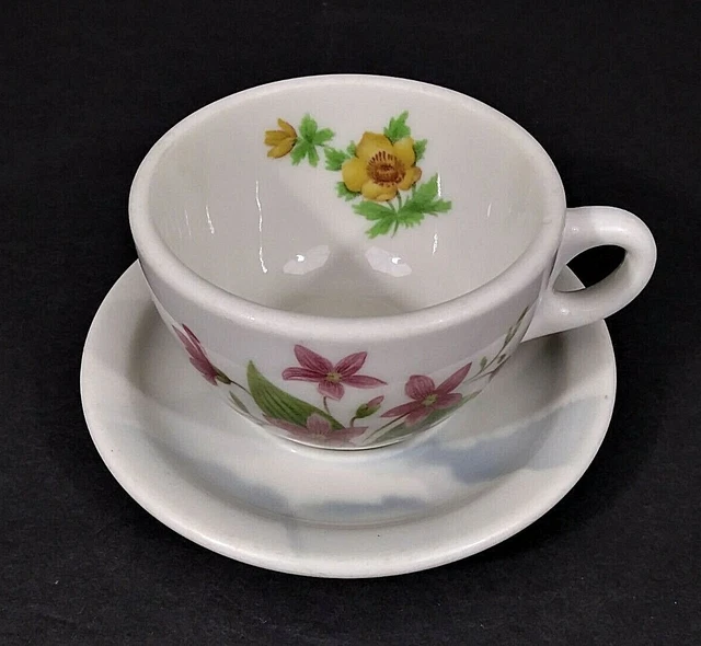 SYRACUSE Great Northern Railroad Mountains & Flowers Pattern Cup & Saucer Set 2