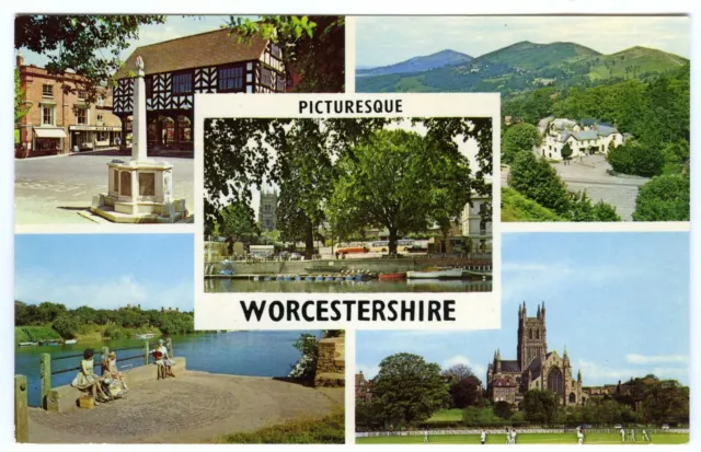 1970s Worcestershire Postcard British Camp County Cricket Ground etc Unposted