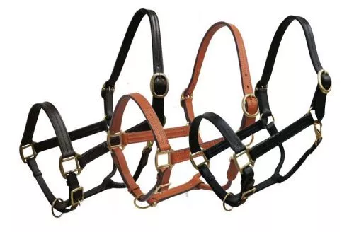 LEATHER Triple Ply HALTER Full Horse Size Adjustable with BRASS Hardware