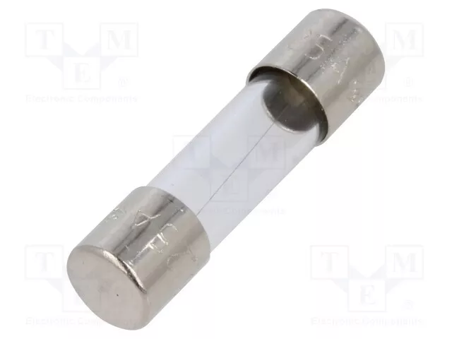 Rapidement 250mA Sécurité : Schmelz Cylindrique, en Verre 220VAC