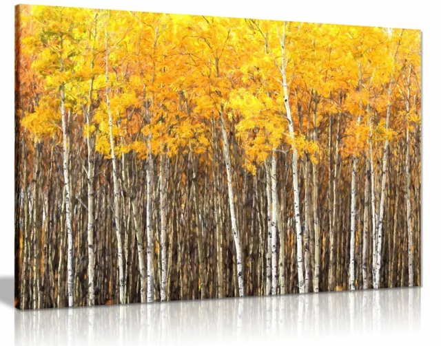 Yellow Grey Aspen Trees Forest Nature Oil Painting Canvas Wall Art Picture Print