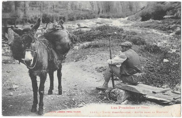 Ancienne Carte Postale - Isards Dans Les Pyrénées (Hautes-Pyrénées) - Début 1900