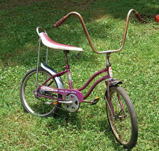 buzz bike western flyer