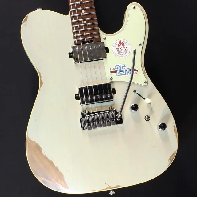 BACCHUS TACTICS24-AGED/RSM SBBD-AGED Global Series Electric